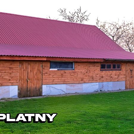 Agroturystyka Nielisz Zamosc - Kwatery Przy Skansenie Экстерьер фото